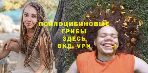 spice Бугульма
