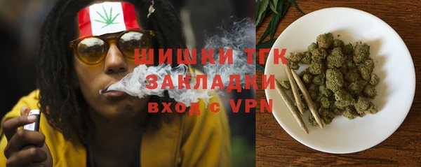 дурь Бронницы