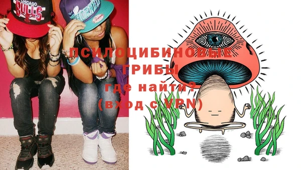 дурь Бронницы