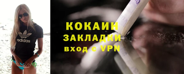 дурь Бронницы