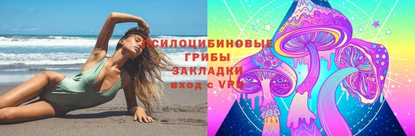 дурь Бронницы