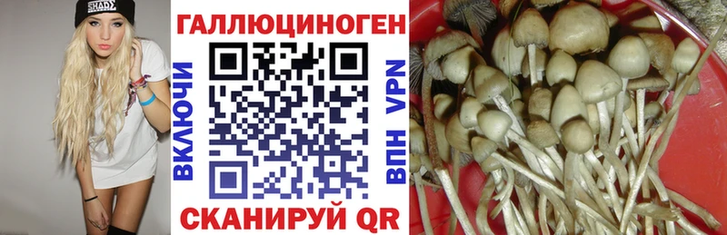купить наркотик Нерчинск Псилоцибиновые грибы GOLDEN TEACHER