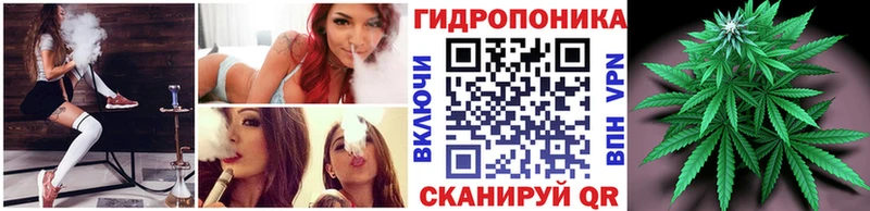 Бошки марихуана сатива  блэк спрут ONION  Нерчинск 